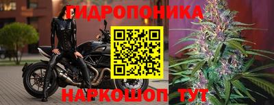 гашиш Дубна