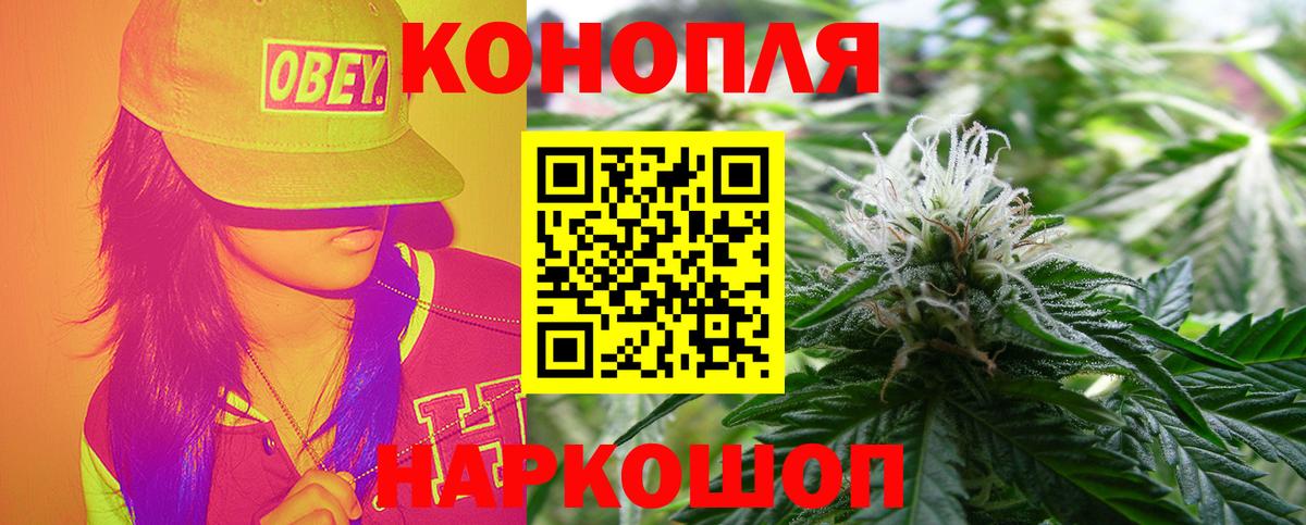 Канабис White Widow  Конопля гибрид  Бошки Шишки Bruce Banner  Марихуана ГИДРОПОН  Верхняя Салда  Вход с VPN 